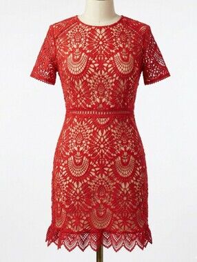 HIDDEN LABEL Red Crochet Lace Dress Nude Lining Small Wedding Guest Date Night